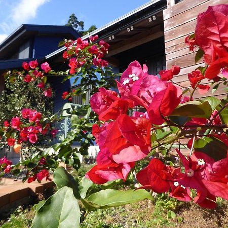 Pension Blue Drop Bed & Breakfast Yakushima  Dış mekan fotoğraf