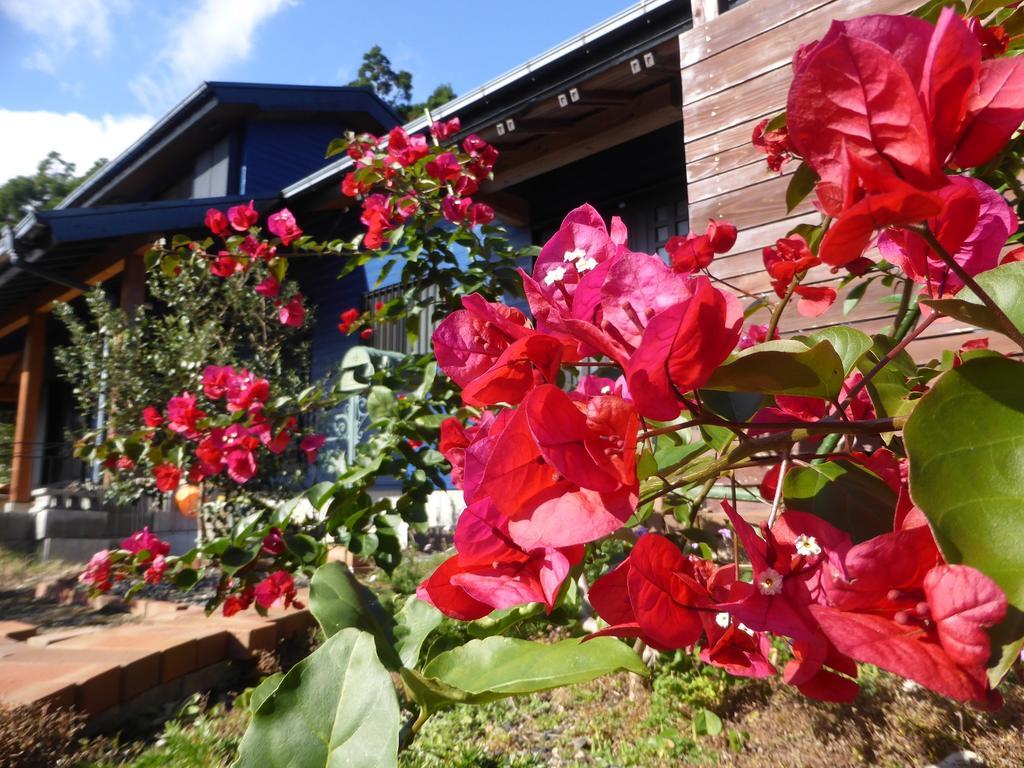 Pension Blue Drop Bed & Breakfast Yakushima  Dış mekan fotoğraf